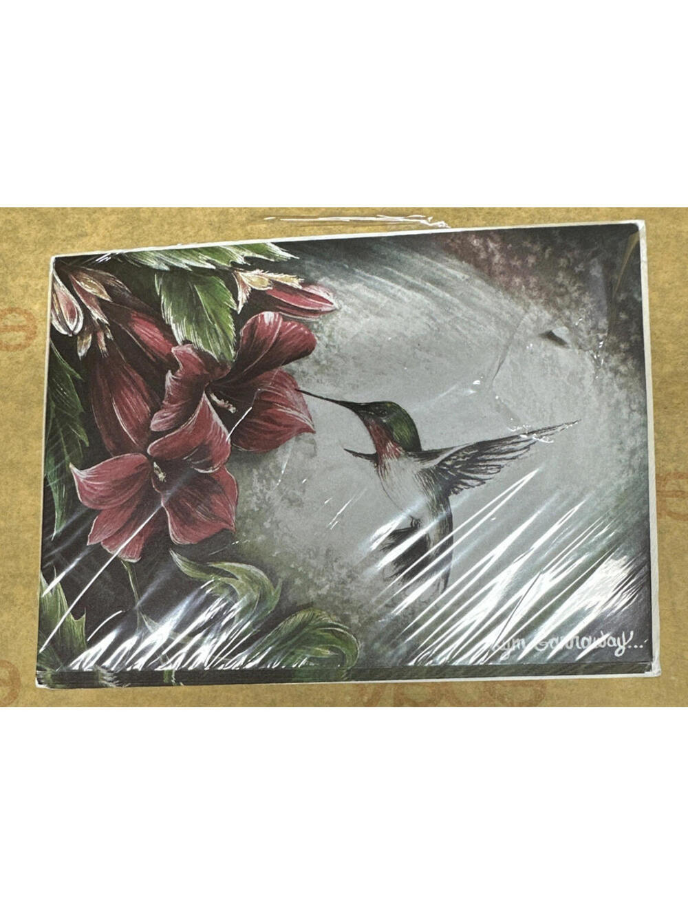 Kym Garraway Artist Hummingbird Greeting Cards 8 Pack Blank Inside USA Made